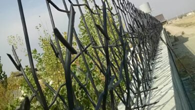 فروش حفاظ آهنی شاخ گوزنی روی دیوار