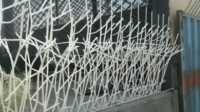 مزیت نصب حرفه ای حفاظ شاخ گوزنی دیوار