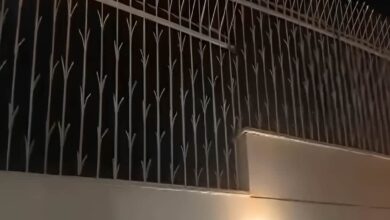 چه نوعی از حفاظ دیوار دارای دوام و ماندگاری طولانی می باشد؟