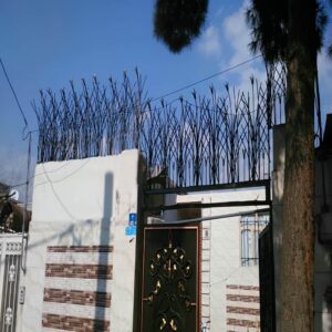 قیمت حفاظ بالای دیوار