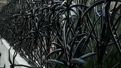 حفاظ نخل مرداب با پوشش رنگ مناسب مناطق مرطوب