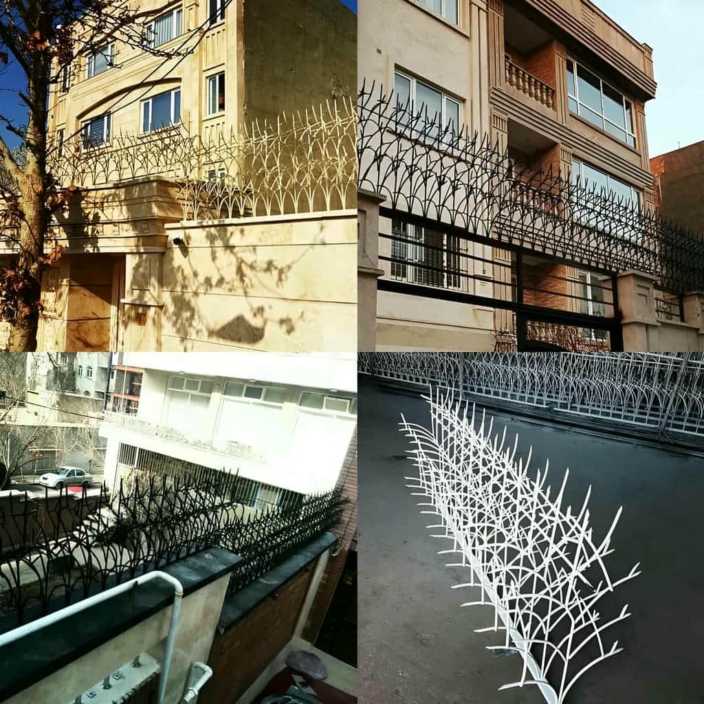 حفاظ دیوار سفارشی طوسی در استان سیستان و بلوچستان